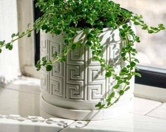 Succulent Planter Hexagonal 3D Printed Planter