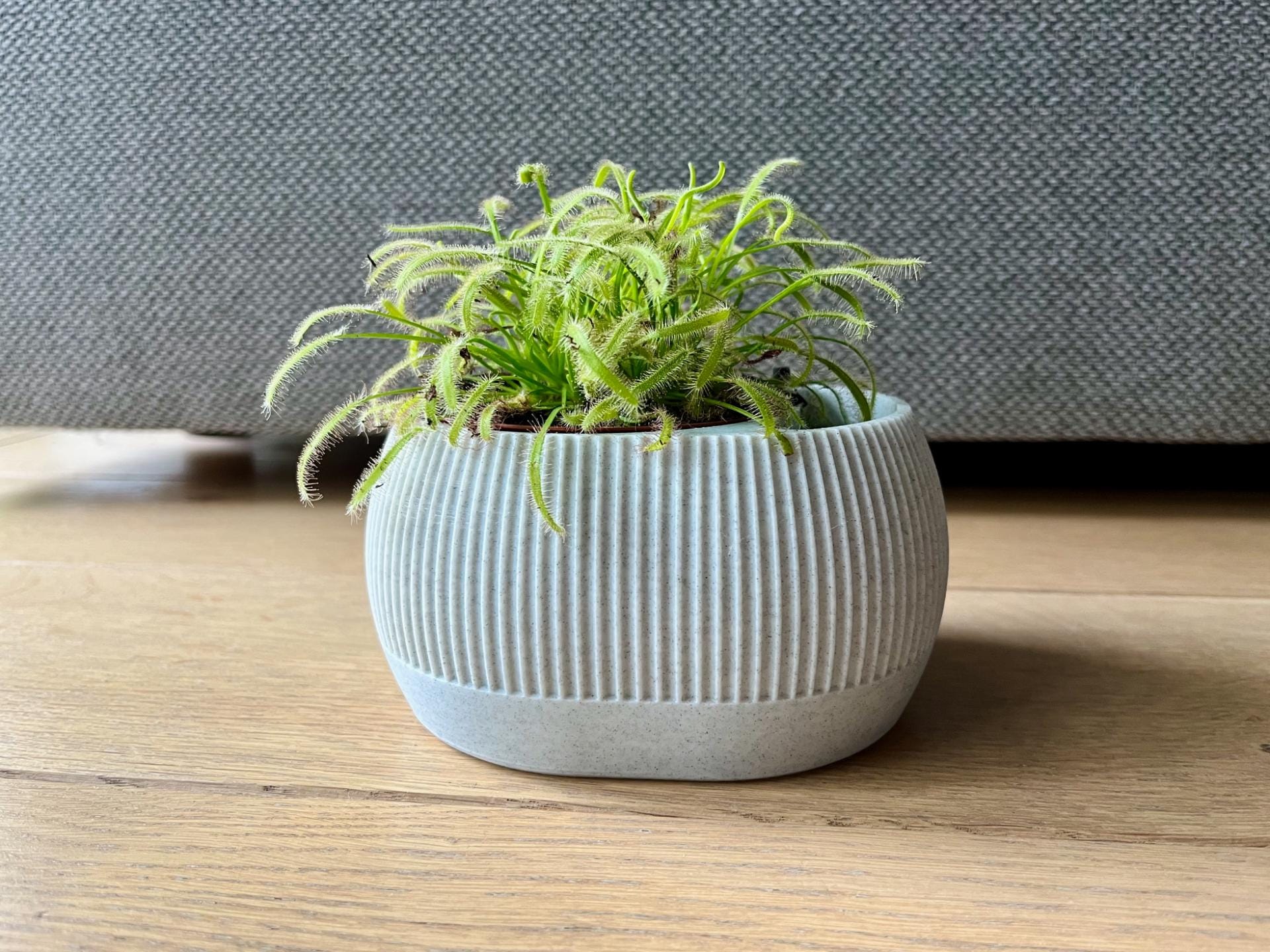 Self Watering Pot, Minimalist 3D Printed Planter, Home Decor