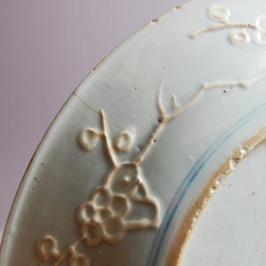 May include: Close-up of a white porcelain plate with a blue and white design. The plate features a raised design of a branch with flowers and leaves. The plate has a crack on the rim.