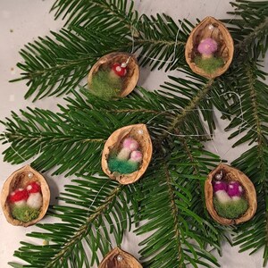 Könnte beinhalten: Handgefertigte Walnussschalen-Ornamente mit Miniatur-Filzpilzen in verschiedenen Farben. Jedes Ornament ist in grünem Filz eingebettet und hat eine kleine Schlaufe zum Aufhängen. Die Ornamente werden auf Tannenzweigen präsentiert.