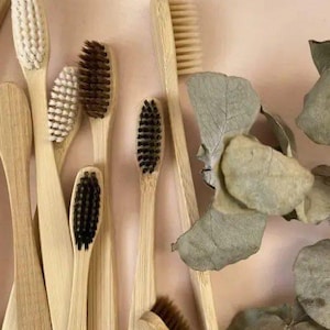 Eco toothbrush