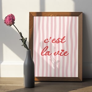 Könnte beinhalten: Ein gerahmter Druck mit einem rosa-weiß gestreiften Hintergrund und den Worten "c'est la vie" in roter Schrift. Eine getrocknete rosa Blume in einer grauen Vase steht vor dem Druck. Der Rahmen ist braun.