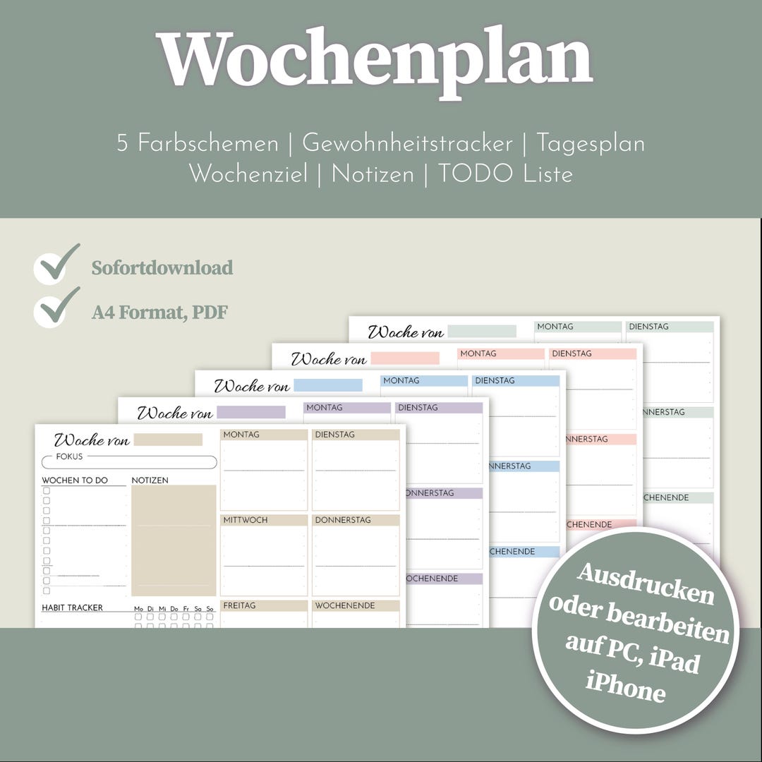 Daily Routine Planner Colorful Digital Weekly Plan, PDF 5 Color Schemes, Daily Routines PDF, Routine ...