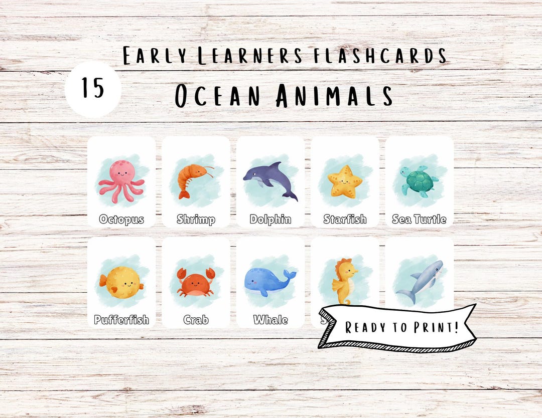 Early Learners Flashcards - Ocean Animals - Etsy