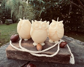 May include: Three owl-shaped candles in a cream color are displayed on a rustic wooden block, accented with a white rope and chestnuts. The candles have detailed features, including wings and facial expressions, creating a charming, nature-inspired decor.