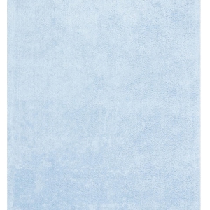 May include: A light blue shag rug with tassels on each corner.