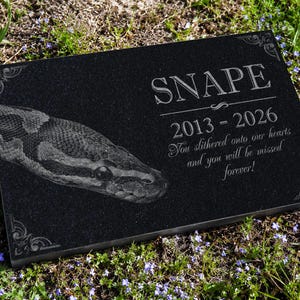 May include: A rectangular black granite memorial plaque featuring an engraved image of a snake on the left side. The text reads SNAPE, 2013-2026, and You slithered onto our hearts and you will be missed forever! Decorative corner flourishes are present.