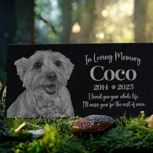 May include: Black granite pet memorial with a photo of a dog and the inscription "In Loving Memory Coco 2014 2025 I loved you your whole life. I'll miss you for the rest of mine."