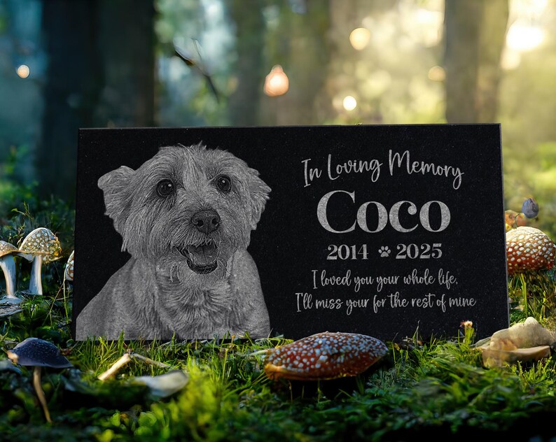 May include: Black granite pet memorial with a photo of a dog and the inscription "In Loving Memory Coco 2014 2025 I loved you your whole life. I'll miss you for the rest of mine."