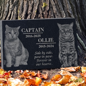 May include: Black granite pet memorial with engraved images of two cats and their names, Captain and Ollie, with dates of birth and death. The inscription reads "Side by side, paw in paw. Forever in our hearts."