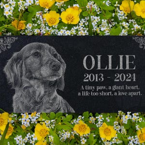 May include: Black granite pet memorial with a white etched image of a dog and the text "OLLIE 2013-2024 A tiny paw, a giant heart, a life too short, a love apart."