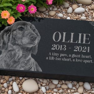 May include: Black granite pet memorial with a white etched image of a dog and the inscription "OLLIE 2013-2024 A tiny paw, a giant heart, a life too short, a love apart."