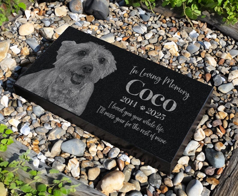 May include: Black granite pet memorial with a white etched image of a dog and the text "In Loving Memory Coco 2014 2025 I loved you your whole life. I'll miss your for the rest of mine."