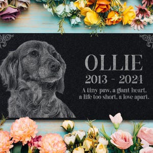May include: Black granite pet memorial with a white etched image of a dog and the text "OLLIE 2013-2024 A tiny paw, a giant heart, a life too short, a love apart."