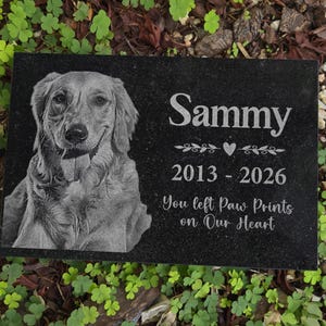 May include: Black granite pet memorial stone with a detailed engraved image of a Golden Retriever. The stone is personalized with the name "Sammy", dates 2013-2026, and the inscription "You left Paw Prints on Our Heart".