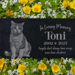 May include: Black granite pet memorial with a photo of a gray tabby cat. The inscription reads "In Loving Memory Toni 2002 - 2025 Angels don't always have wings some have whiskers."