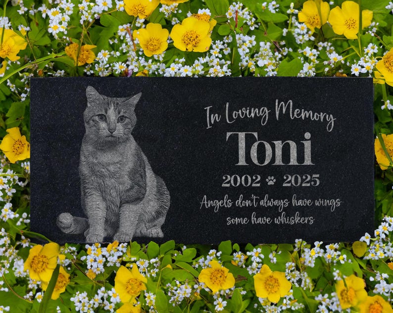 May include: Black granite pet memorial with a photo of a gray tabby cat. The inscription reads "In Loving Memory Toni 2002 - 2025 Angels don't always have wings some have whiskers."
