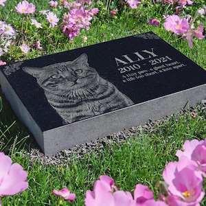 May include: Black granite pet memorial with a photo of a tabby cat and the inscription "ALLY 2010-2024 A tiny paw, a giant heart. a life too short, a love apart."