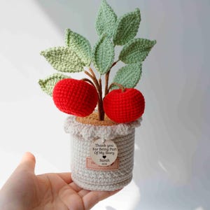 Vaso per piante personalizzato per insegnanti, Grazie per il regalo che mi ha aiutato a far parte della mia storia, Regalo di fine anno per insegnanti, regalo per insegnanti