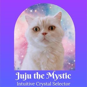 Surprise Crystal Gift: Intuitive Gemstone Selected by Juju the Mystic Cat