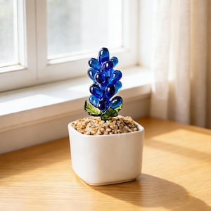 Puede incluir: Una escultura decorativa de vidrio con forma de flor azul en una maceta cuadrada blanca. La flor tiene hojas verdes, colocada frente a una ventana y una superficie de madera. La maceta está llena de pequeños guijarros claros.