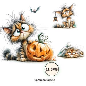 Grumpy Halloween Cat Clipart, Funny Scruffy Kitten with Pumpkin & Bat JPG
