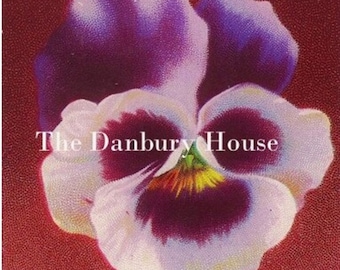 Vintage Pansy Postcard Download