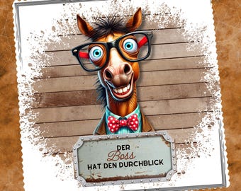 Brillenputztuch Chef bedrucktes Mikrofasertuch für Brillen Displays lustiges Geschenk Geburtstag Boss Mitbringsel #TI45