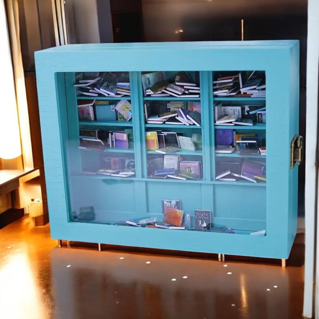 Dopamine Anxiety Bookshelf Sleek Miniature Model Library With Mini ...