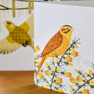 6 Cartes de voeux offrent la gamme d’oiseaux