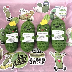 Emotional Support Pickle, Handmade Crochet Pickles, Thinking Of You Gift, Birthday Gift
