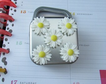Daisy Magnets Set of 5 in Metal Gift Box, Spring Gardener Gift for Teachers and Students, Refrigerator Magnets Flower Lover Gift