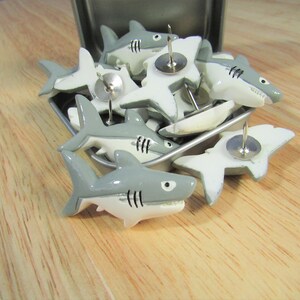 15 Great White Shark Push Pins. They are about an inch long and 1/2 inch high. They come in a metal box with window.