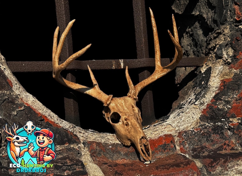 May include: A deer skull with large antlers is mounted on a brick wall. The skull is a light tan color, and the antlers are a darker shade of tan. The wall is made of red and gray bricks. The image has a dark background.