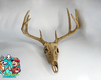 Realistic White-Tailed Deer Skull Replica – Anatomical Model for Education, Hunting Décor, Collectors, and Wildlife Displays