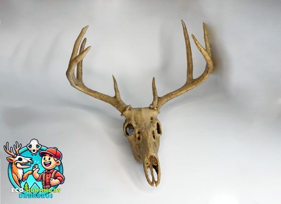 Realistic White-Tailed Deer Skull Replica – Anatomical Model for Education, Hunting, Halloween Décor, Collectors, and Wildlife Displays