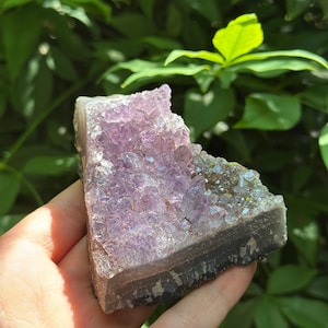Könnte beinhalten: Eine natürliche Amethyst-Geode mit kristalliner Struktur. Die Geode weist einen Farbverlauf auf, von einer tiefgrauen Basis bis zu einer hellvioletten Kristallformation. Die Geode wird in einer Hand vor einem Hintergrund aus grünem Laub gehalten.
