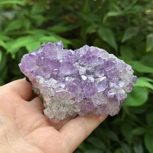Könnte beinhalten: Nahaufnahme eines Amethyst-Kristallclusters, der verschiedene Lilatöne zeigt. Die Kristalle sind dicht gepackt und haben eine raue, natürliche Textur. Grünes Laub im Hintergrund bildet einen natürlichen Kontrast zur Farbe des Kristalls.