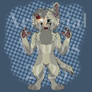 Angel Mainecoon Adopt