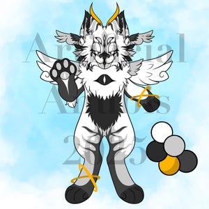 Angel Mainecoon Adopt