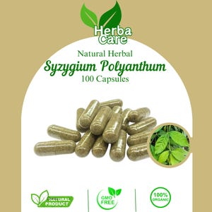 100-500 kapsułek czystego Syzygium Polyanthum Indonezyjski liść laurowy Daun Salam 100% organiczne WildCrafted świeże naturalne zioła