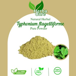 Pure Powder Of Rodent Tuber (Typhonium flagelliforme) Fresh Organic Single Spice Natural Herbal Herbs