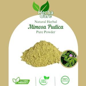 Pure Powder Of Humble plants (Mimosa pudica) Fresh Organic Single Spice Natural Herbal Herbs