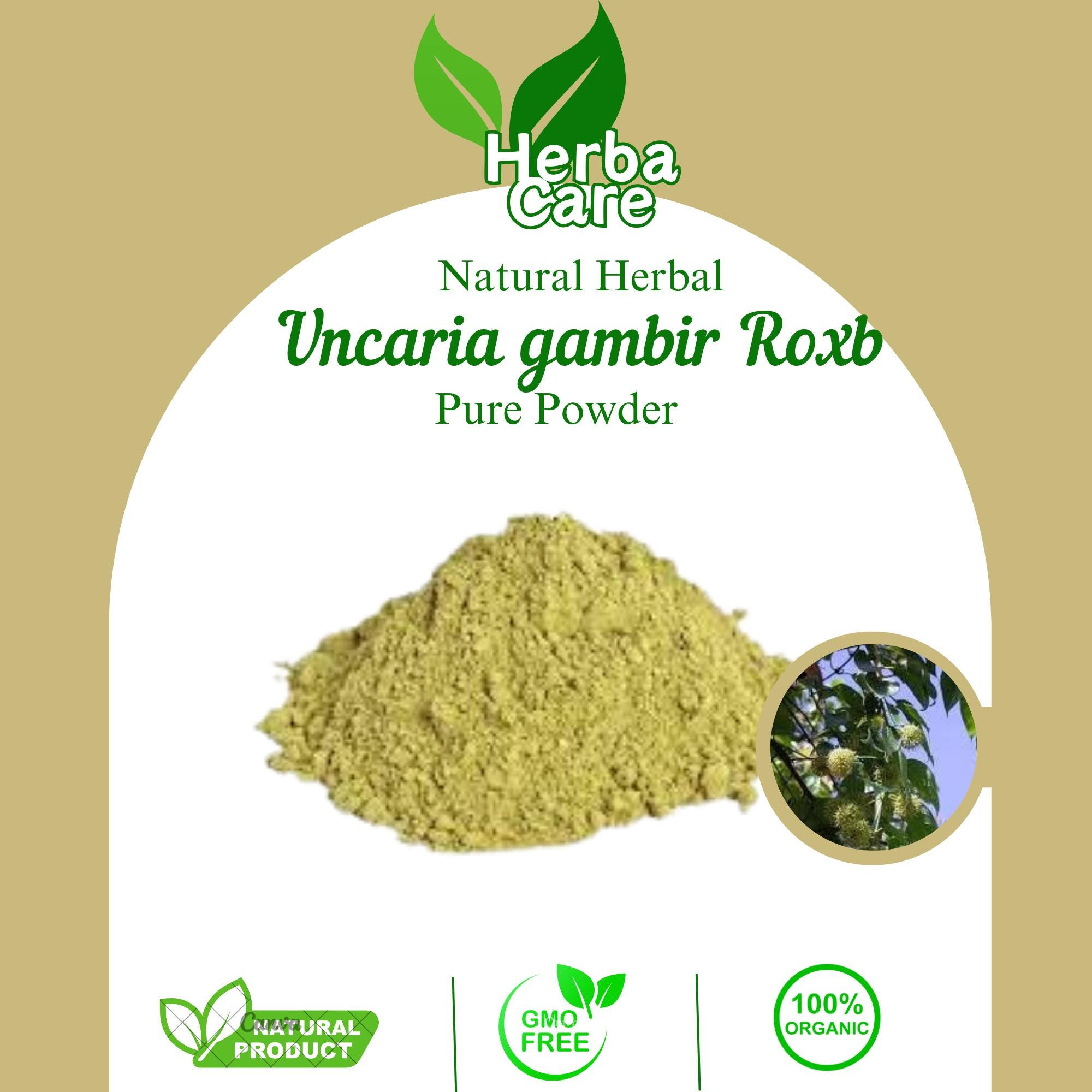 Organic Uncaria Gambir Roxb Powder, Natural Herbal Spice