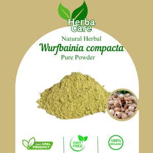 Puede incluir: Se muestra un montón de polvo verde claro de Wurfbainia compacta, con una pequeña imagen insertada de las semillas de la planta. La imagen incluye el texto "Herba Care", "Natural Herbal", "Pure Powder" y "100% Organic".