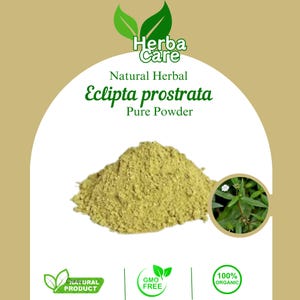 Pure Powder Of False Daisy (Eclipta prostrata (L.)) Fresh Organic Single Spice Natural Herbal Herbs