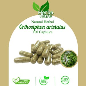 Pode incluir: Cápsulas verdes de Orthosiphon aristatus. A imagem inclui o texto "Herba Care", "Natural Herbal", "Orthosiphon aristatus" e "100 Capsules". A imagem também inclui o texto "Natural Product", "GMO Free" e "100% Organic".