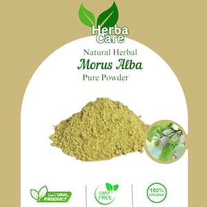 Pure Powder Of White Mulberry (Morus Alba) Fresh Organic Single Spice Natural Herbal Herbs