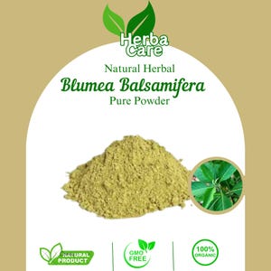 Pure Powder Of Sambong leafs (Blumea balsamifera (L.)) Fresh Organic Single Spice Natural Herbal Herbs