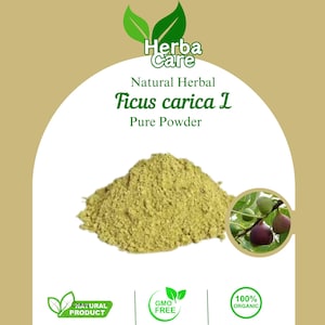 Organiskt fikonpulver (Ficus carica L), naturlig örtkrydda